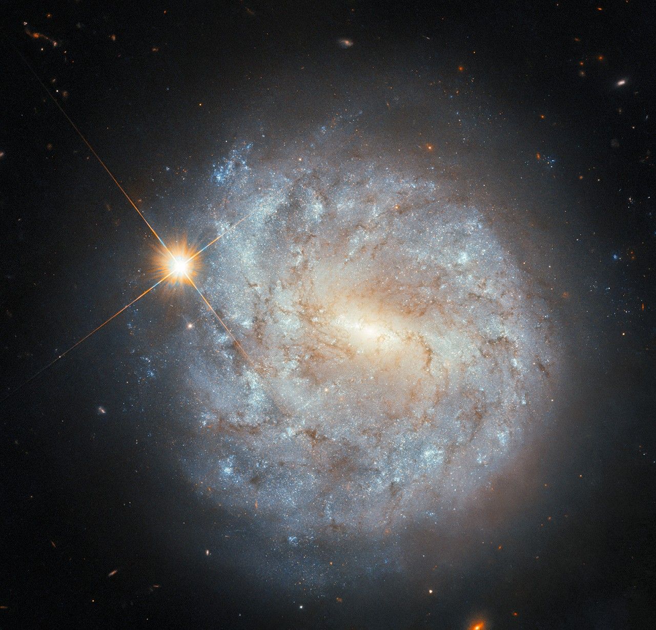 NGC 1600*
